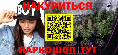 индика Рузаевка