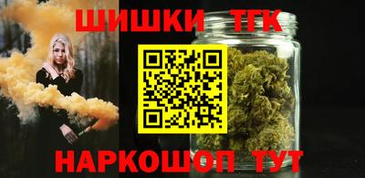 индика Рузаевка