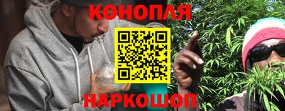индика Рузаевка