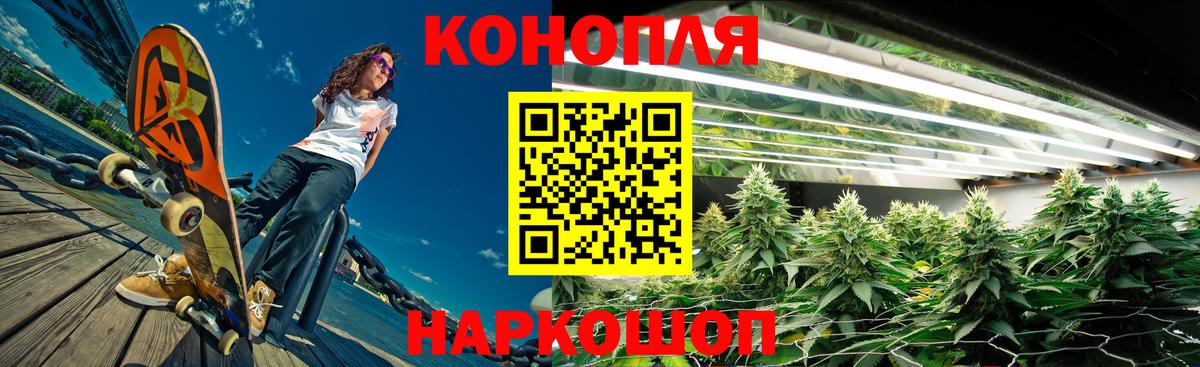 Бошки Шишки SATIVA & INDICA  Каннабис White Widow  Вход с VPN  Тара  Бошки марихуана Bruce Banner 